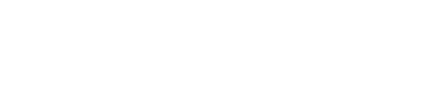 Texel Air